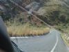 th_YOL !.JPG