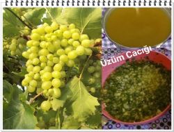 ÜZÜM CACIĞI: