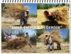 EMEK EN YCE DEERDR: