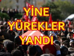 YNE YREKLER YANDI