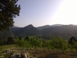 SEVG  MEZARI  VE  SONSUZ  BR  AKIN  YKS  (2)