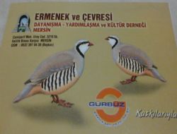 Mersin Ermenekliler Dernei
