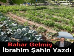 MEMLEKETMN DALARINA BAHAR GELM: