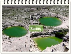 SARNI