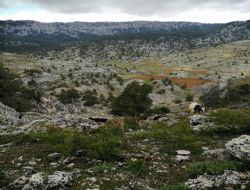 KAZANCILI  DA  KORUMACILARI  VE SLAHLARIN  SIRRI
