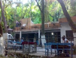 Zeyve Astor Et Balk Restorant yand..