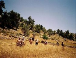 Sosyal ve Ekonomi
