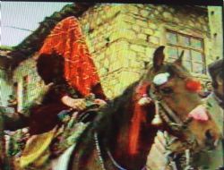 Ayn Gn Gelin Olan Eltiler