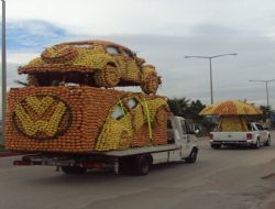 MERSNDE NARENCYE FESTVAL