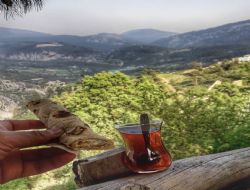YAYLA KOKULU SEVDAM
