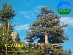Kazancı Coğrafyasının Bitki Örtüsü- (1)