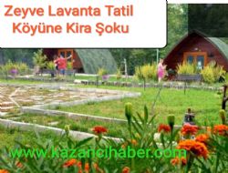Zeyve lavanta ky iletmecisine kira oku