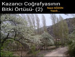 Kazanc Corafyasnn Bitki rts- (2)
