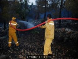 Silifke'de Orman Yangn