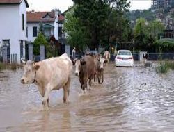 Tedbirli olalım felaketler bize uzak değildir.