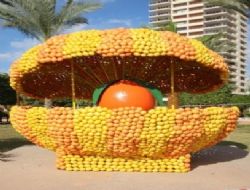 Mersin'de Narenciye Festivali Yapld