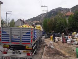 Kazancda Elma 30 Kuru