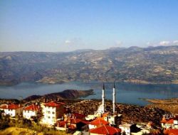 Taeli Sla Festivali