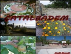 atalbadem Mahallemiz Facebook'ta