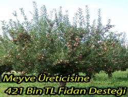 Meyve reticisine Destekleme demesi yaplacak.