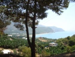Deprem Kaledran  (Antl) Beldesini de Vurdu.