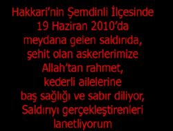 Mehmetcie Hain Saldr, 11 ehit Verdik
