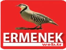 arnava.net, ermenek.web.tr oldu