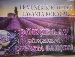 Gkekent Kynde Lavanta Yetiti