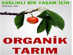 Kiraz Eylem Plan