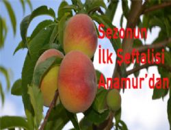 Mevsimin lk eftalisi Anamur'dan