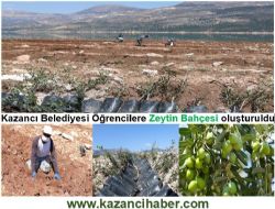 rencilere Zeytin Bahesi Oluturuldu.