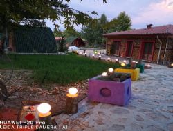 Zeyve Pazar Fotoraflar Bekliyor.